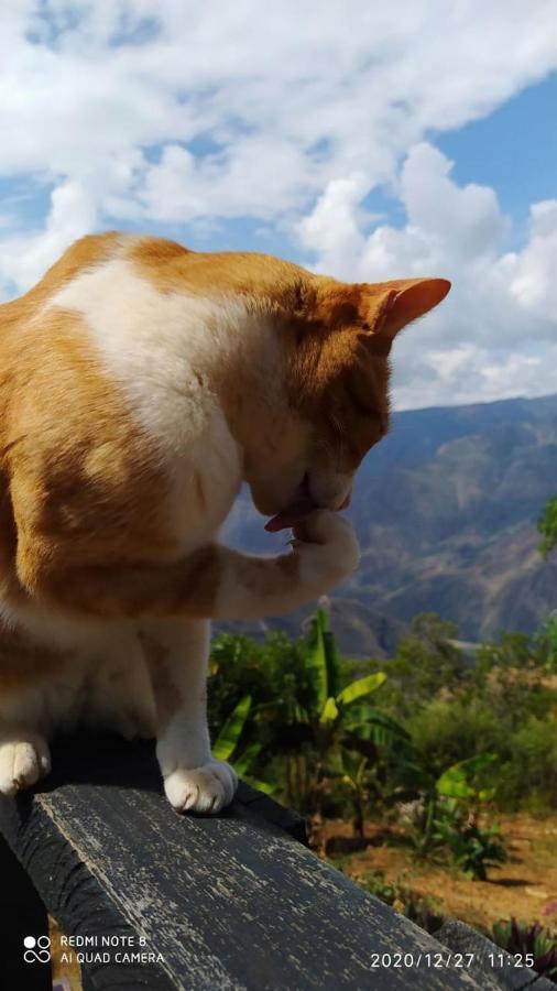 Cabanas Canon Del Chicamocha Aratoca Ngoại thất bức ảnh