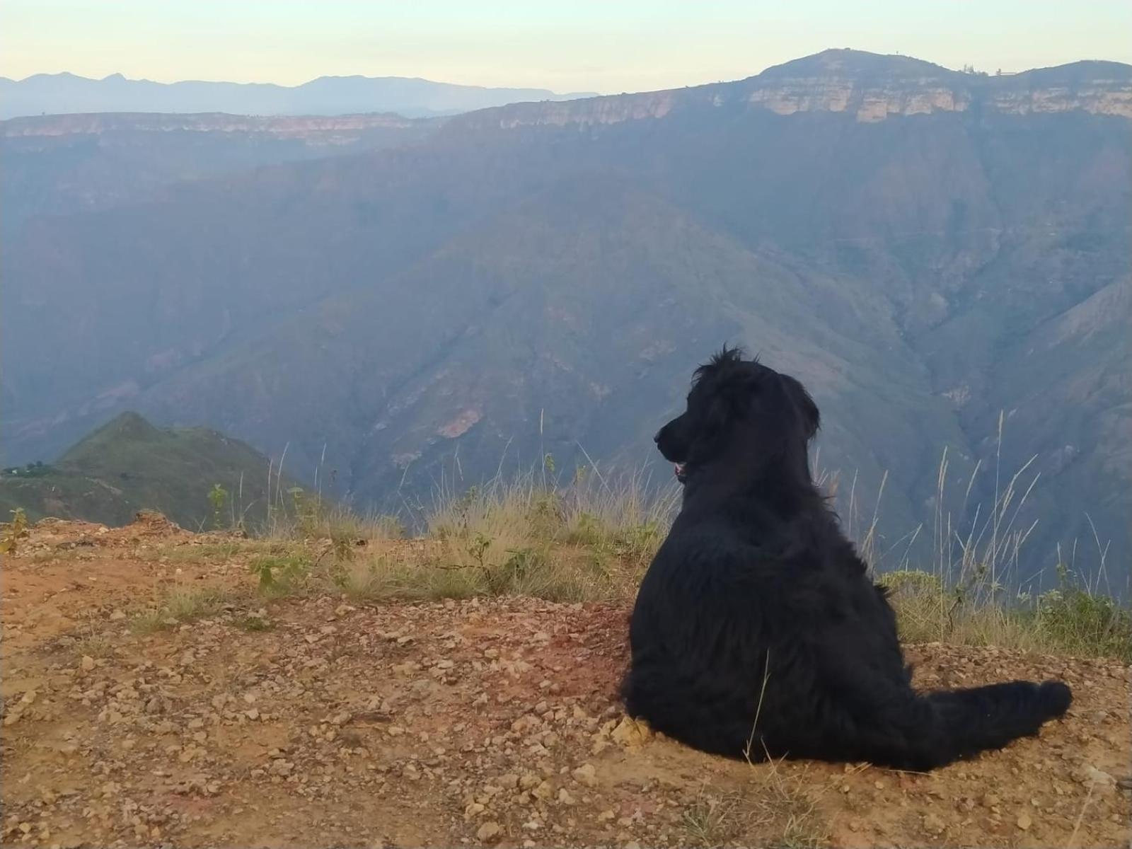 Cabanas Canon Del Chicamocha Aratoca Ngoại thất bức ảnh
