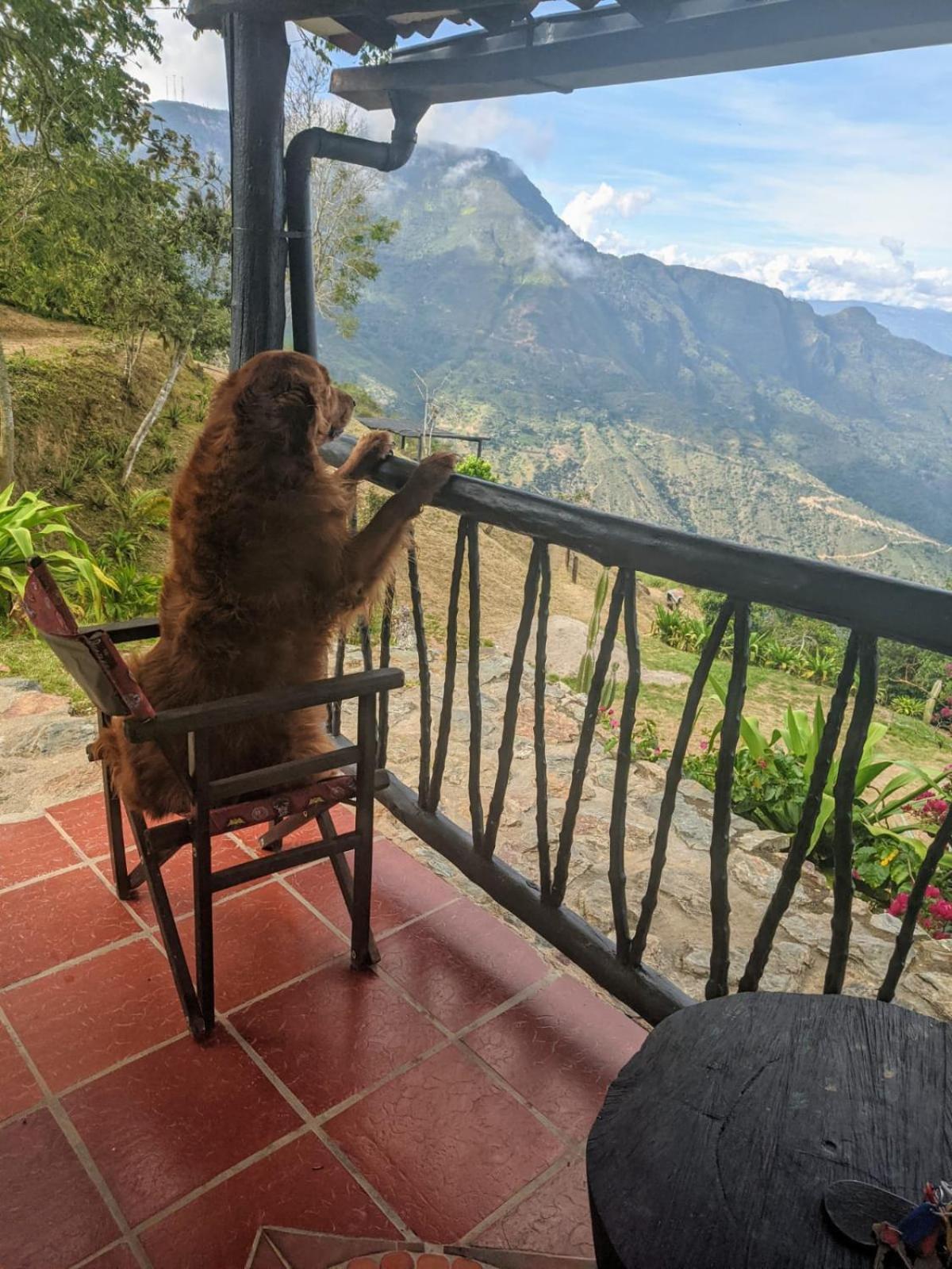 Cabanas Canon Del Chicamocha Aratoca Ngoại thất bức ảnh